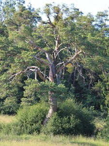 Gästehaus Impressionen 5