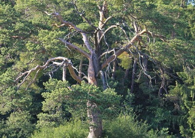 Gästehaus Impressionen 5